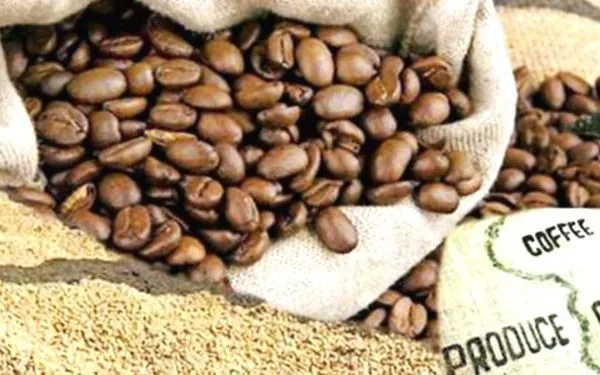 coffee