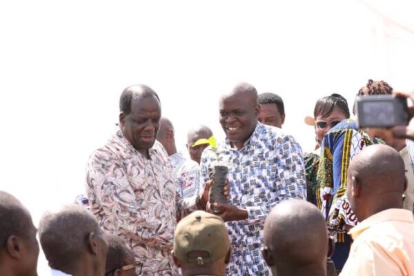 CS Oparanya distributes free coffee seedling to Vihiga Coffee farmers to revive coffee farming in the County