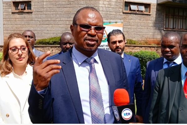 All humanitarian food aid to be free from pests, contaminants-KEPHIS says