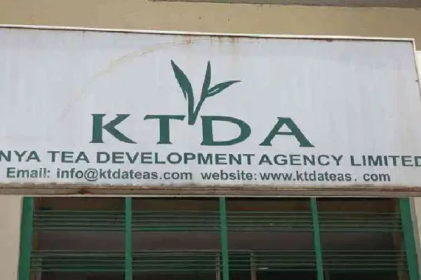 Government orders KTDA to pay tea farmers Ksh2.7 Billion refund