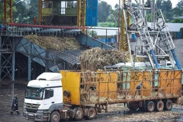 Chemelil Sugar Factory roars back to life after major revamp