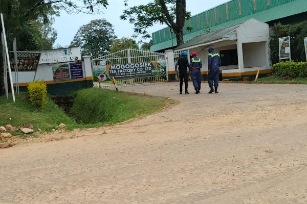 Bomet tea farmers demand transparency, fairness in bonus payments