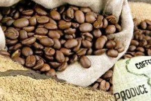 Coffee beans