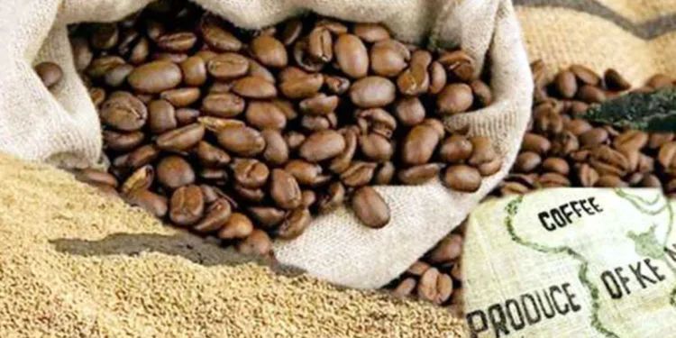 Coffee beans