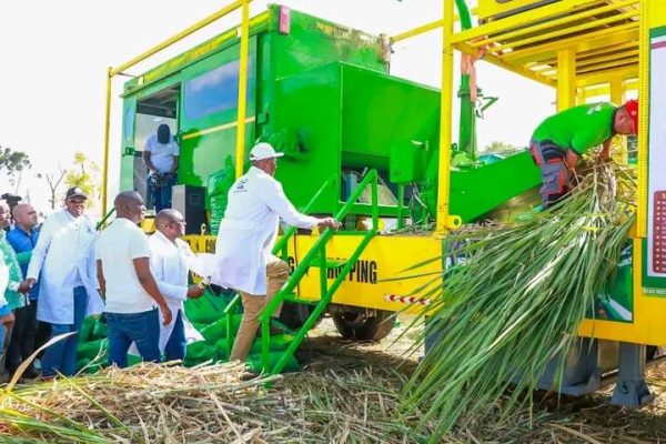 Nyandarua livestock farmers urged to embrace technology in fodder making to curb losses