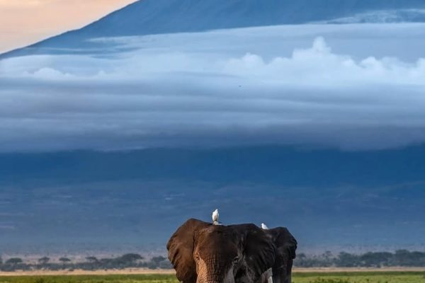 All Set for Maa Cultural and Tourism Festival in Amboseli on November 4th