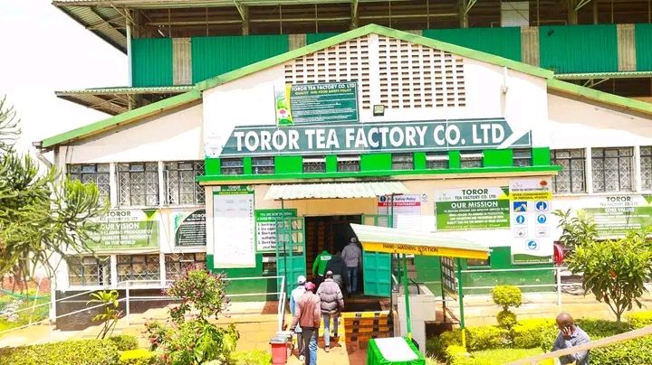 Toror Tea Factory in Kericho County