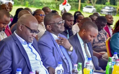 MSEA CEO Mwenda Rithaa.