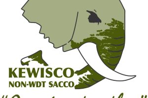 Kewisco Sacco