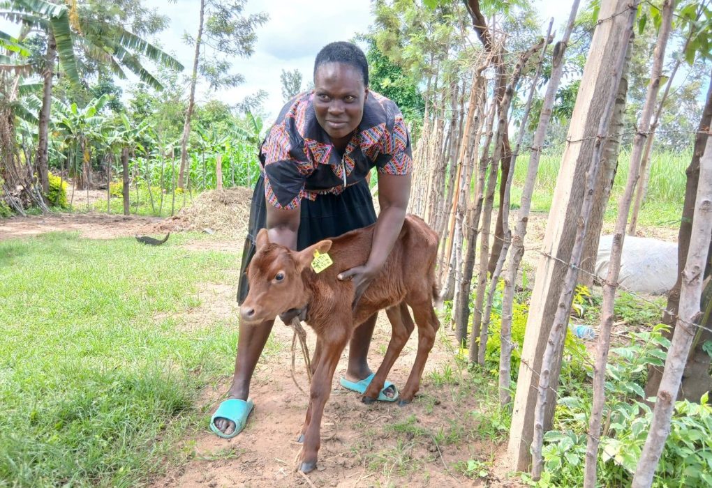 Dairy farmer