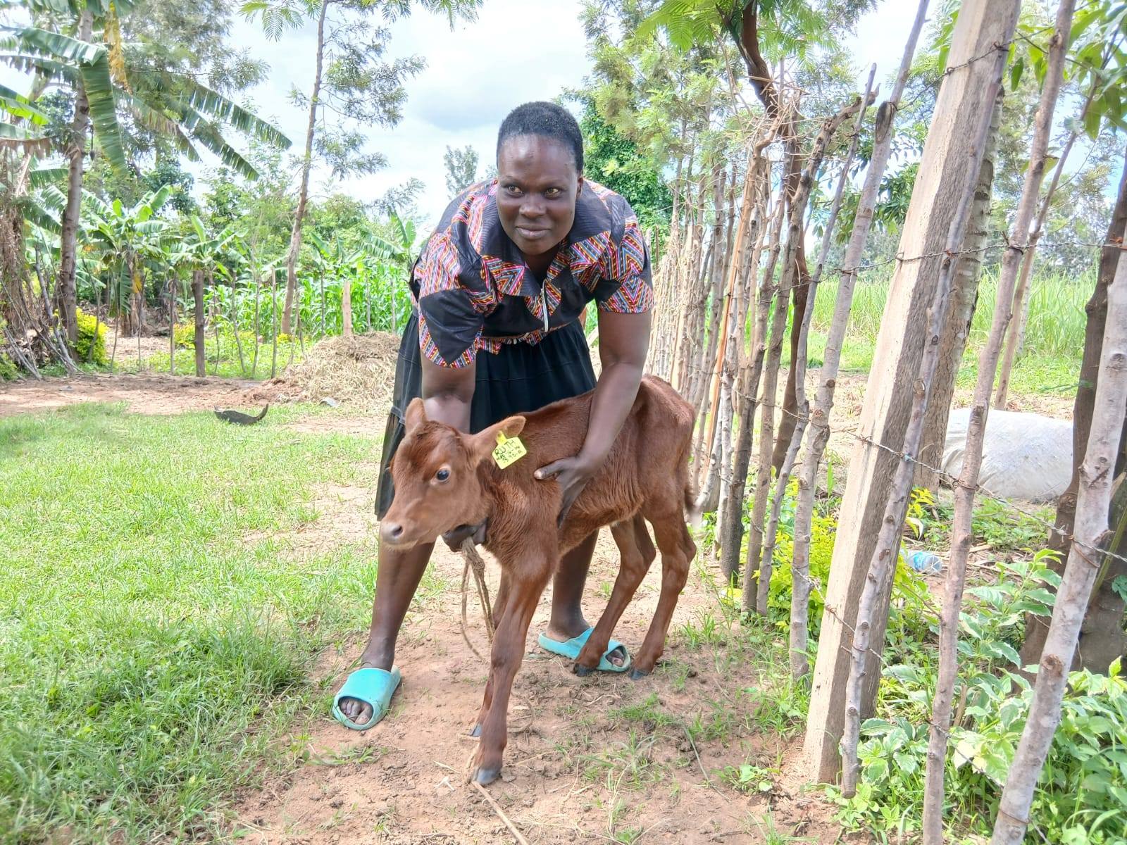 Dairy farmer