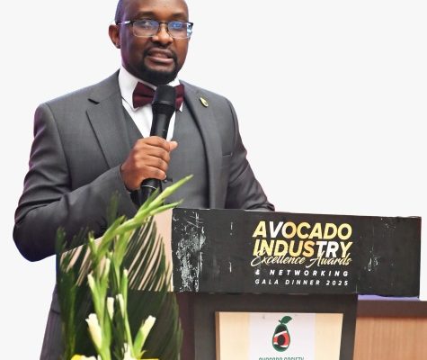 Kenya to host Global Avocado Summit as industry eyes expanded markets