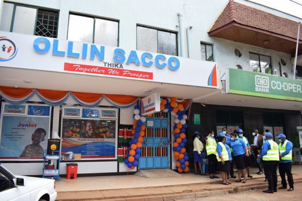 Ollin Sacco branch