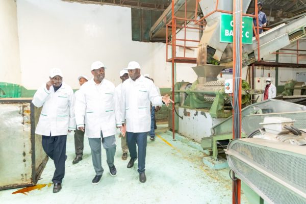 Gov’t moves to revive tea sector as KTDA firms up fertiliser transport plan