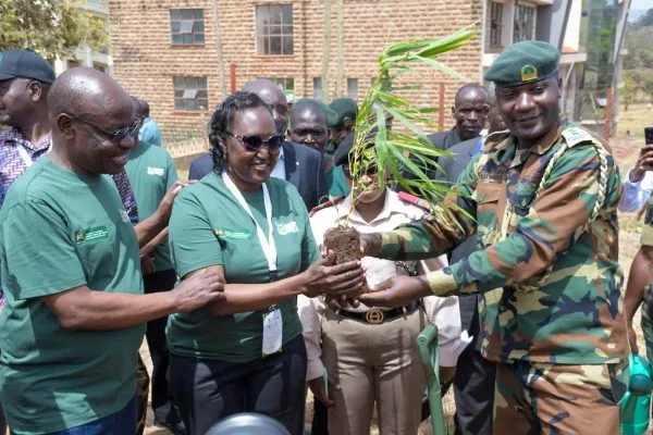 Bamboo growing key to boosting incomes, says KEFRI