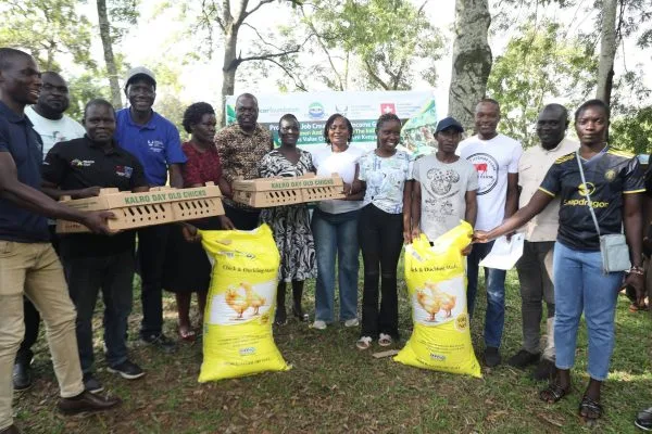 Busia County boosts poultry farming with 11,080 chicks