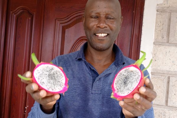 Meet Kenya’s pioneer dragon fruit farmer transforming Meru