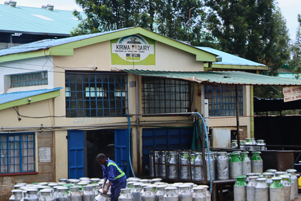 Kirima Dairy raises milk prices for farmers from November