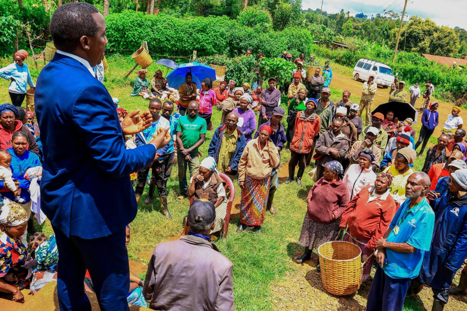 Tea bonus disparities leave Murang’a farmers seeking answers